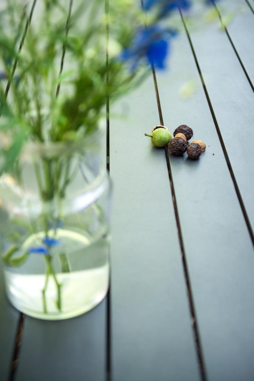 Het Groene Bed ออร์สชอท ภายนอก รูปภาพ