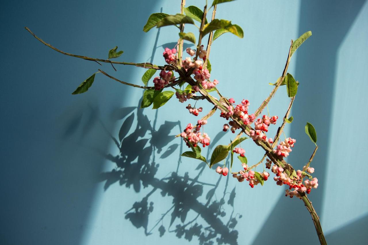 Het Groene Bed ออร์สชอท ภายนอก รูปภาพ